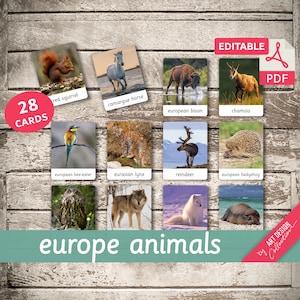 EUROPE ANIMALS • 28 Editable Montessori Cards • Flash Cards Nomenclature FlashCards Pdf Printable Cards Montessori Toys preschool