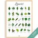 see more listings in the Montessori - POSTERS section