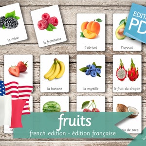 FRUITS FRENCH Edition (real pictures) • 50 French and 50 English Editable Montessori Cards • Flash Cards Nomenclature Cards Pdf preschool