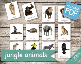 Esoes Baby Flash Karten 12 Stück Lernkarten Kleinkinder Realistische Tierfiguren Sets Kleink Farm Animal Toys Wild Life Lernkarten 