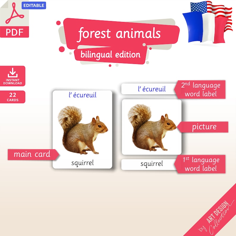 FOREST ANIMALS BILINGUAL 22 Editable Montessori Cards - Etsy