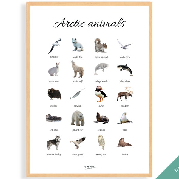 ARCTIC ANIMALS POSTER • Montessori Poster • Montessori Educational Homeschooling Learning Poster Kids Nursery Room preschool Horse breeds