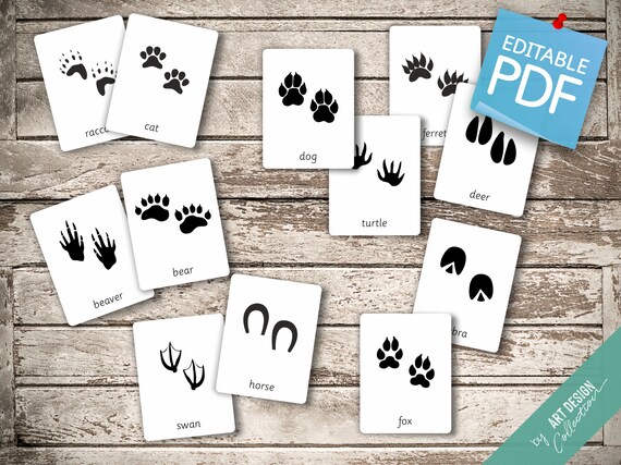Free Printable Animal Tracks Flashcards - Animal Footprints Printable