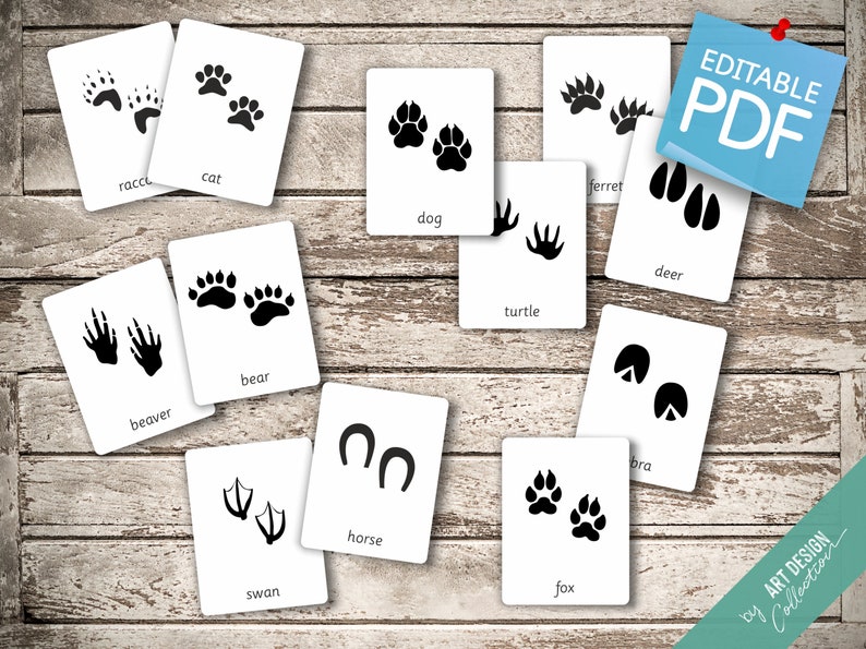 ANIMAL FOOTPRINTS 50 Montessori Cards Flash Cards | Etsy