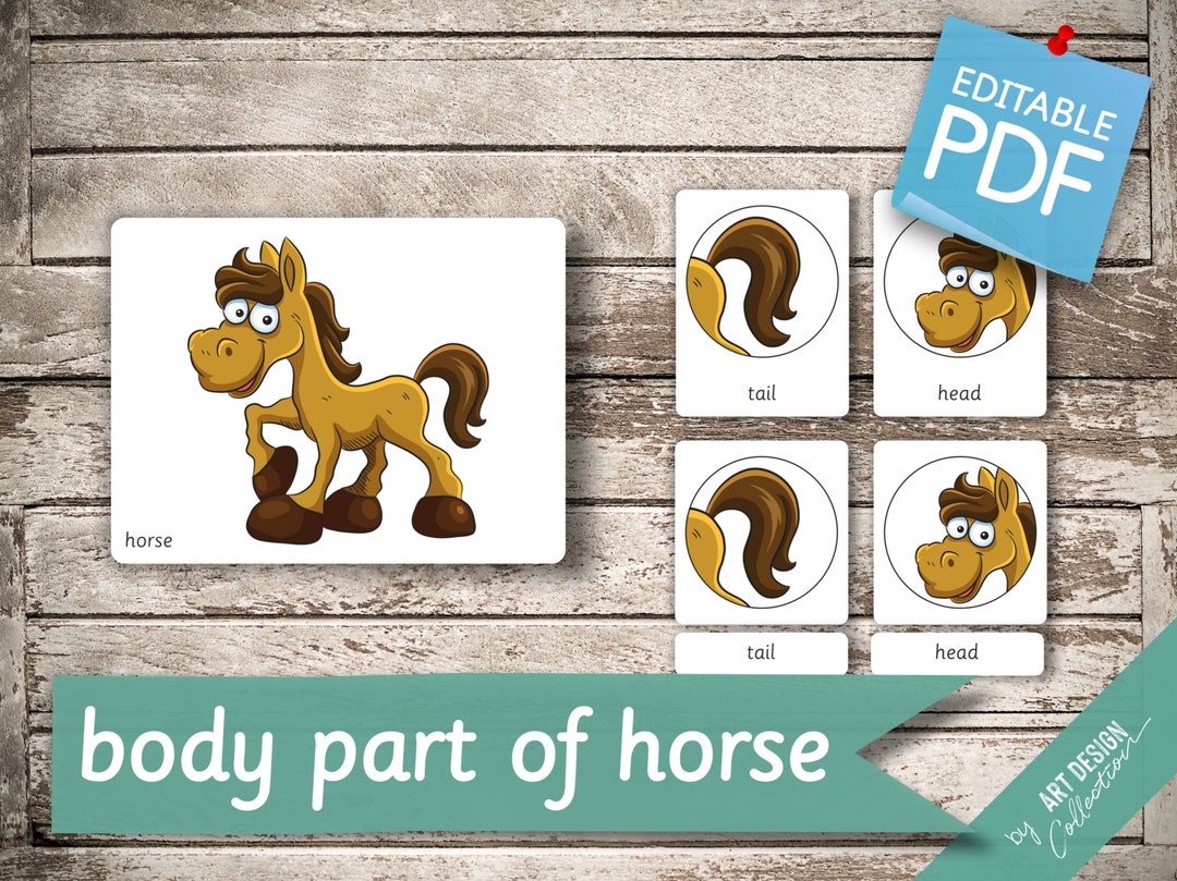 BODY PART of HORSE • 11 Montessori Cards • Flash Cards Nomenclature ...