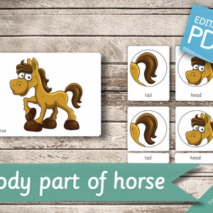 PARTIE DU CORPS DU CHEVAL • 11 cartes Montessori • Cartes Flash Cartes Flash de nomenclature Pdf modifiables Cartes imprimables préscolaire
