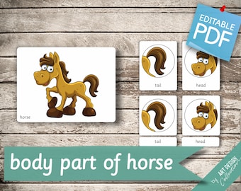 BODY PART of HORSE • 11 Montessori Cards • Flash Cards  Nomenclature FlashCards  Editable Pdf Printable Cards preschool