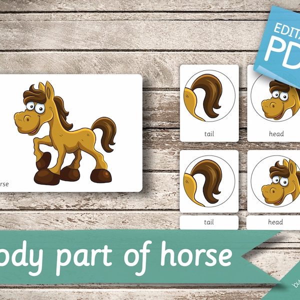 Horse Flash Cards Etsy