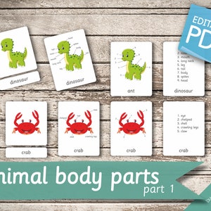 ANIMAL BODY PARTS (part 1) • 104 Editable Montessori Cards • Flash ...