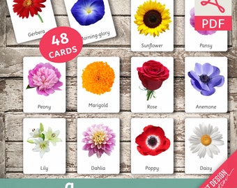 FLOWERS (real pictures) • 48 Editable Montessori Cards • Flash Cards Nomenclature Cards Pdf Printable Cards Montessori Toys preschool botany