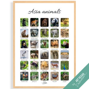 CARTEL DE ANIMALES DE ASIA • Póster Montessori • Póster de aprendizaje educativo Montessori para la educación en el hogar para niños en edad preescolar, guarderías, razas de caballos