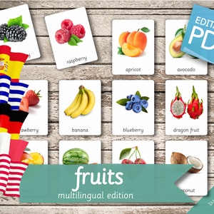 FRUITS MULTILINGUAL Edition • 50 English, French, German, Greek, and Spanish Editable Montessori Cards • Nomenclature FlashCards preschool