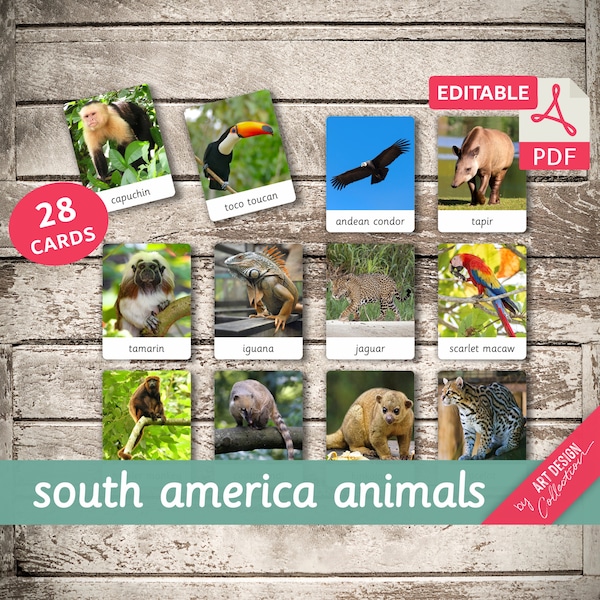 SOUTH AMERICA ANIMALS • 28 Editable Montessori Cards • Flash Cards Nomenclature FlashCards Pdf Printable Cards Montessori Toys preschool