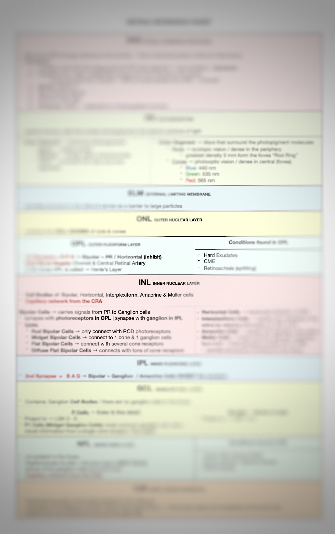 Optometry Retina Anatomy / Retinal Layers / Reference Study Sheet ...