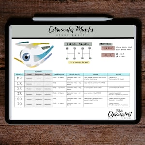 UPDATED: Extraocular Muscles (EOM) Optometry Anatomy Study Sheet / Digital Download / Future Optometrist
