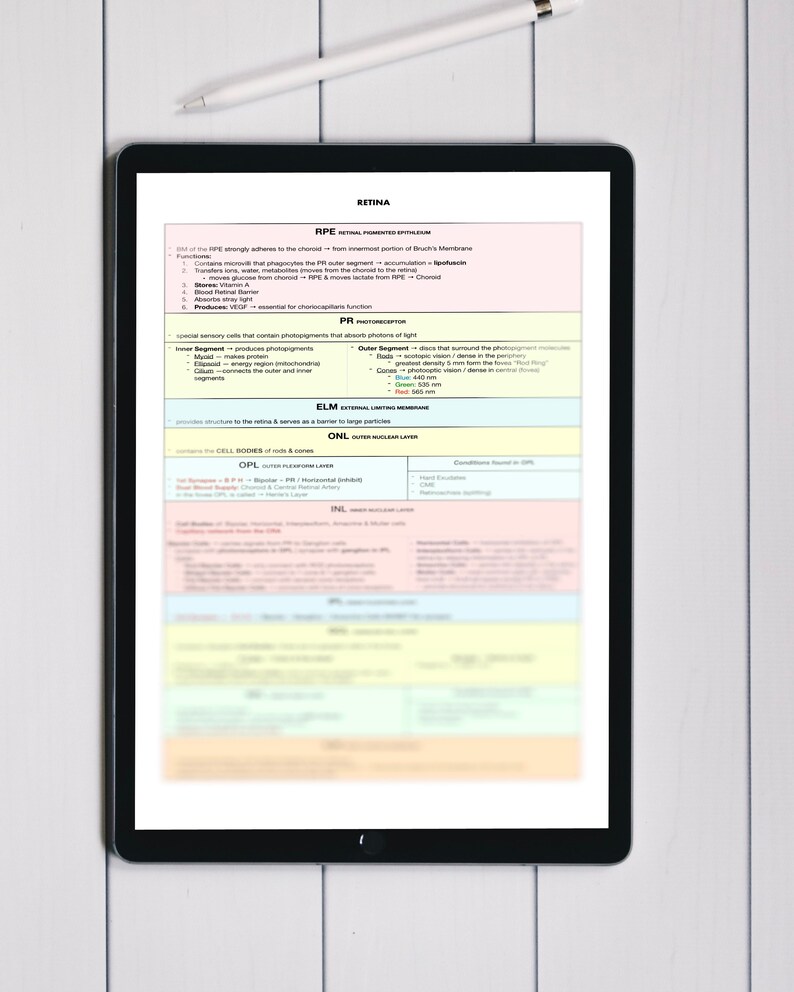 Optometric Sheet Optometry Retina Anatomy / Retinal Layers / Reference Study Sheet ...