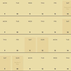 May include: A calendar with a light beige background. The days of the week are listed across the top, with dates from 9 to 14. Special days like Valentine's Day and Mother's Day are noted.
