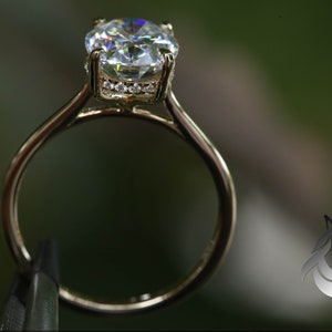 Pu&ograve; includere: Un anello di fidanzamento in oro con un grande diamante rotondo e chiaro incastonato a griffe. Il diamante &egrave; circondato da un alone di diamanti pi&ugrave; piccoli.