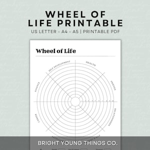 Wheel of Life Printable Worksheet, Wheel of Life PDF Printable, Self-Assessment Printable Worksheet, Self-Care PDF, Personal Development PDF