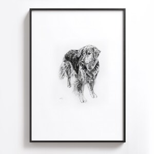 Puede incluir: Dibujo a l&aacute;piz en blanco y negro de un perro mirando hacia la izquierda. El perro est&aacute; de pie sobre un fondo blanco.