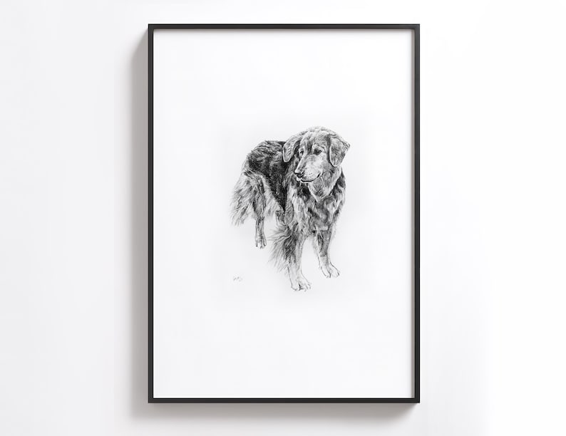 Puede incluir: Dibujo a l&aacute;piz en blanco y negro de un perro mirando hacia la izquierda. El perro est&aacute; de pie sobre un fondo blanco.