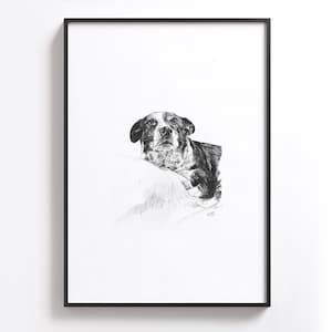 Puede incluir: Dibujo a l&aacute;piz en blanco y negro de un perro acostado sobre un fondo blanco. El perro mira directamente al espectador con una expresi&oacute;n seria.