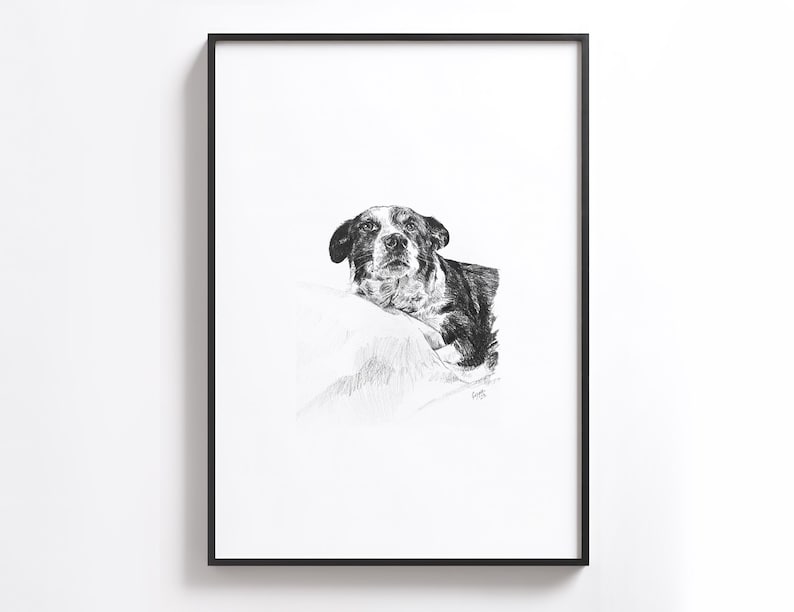 Puede incluir: Dibujo a l&aacute;piz en blanco y negro de un perro acostado sobre un fondo blanco. El perro mira directamente al espectador con una expresi&oacute;n seria.