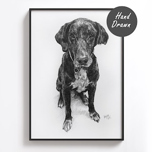 Custom Pet Portrait Pencil Sketch Dog Cat Horse Graphite Drawing from Photograph Gift Hand Drawn Personalised Commission
