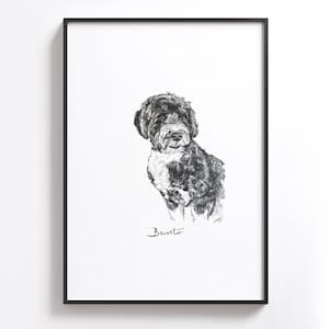 Puede incluir: Dibujo a l&aacute;piz en blanco y negro de un perro llamado "Bento" en una impresi&oacute;n enmarcada.