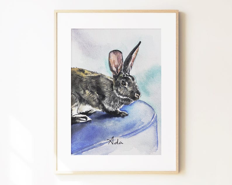 May include: A framed watercolor painting of a dark brown and black rabbit with long ears, positioned on a solid blue surface. The name Ada is written in black cursive script at the bottom of the rabbit's blue perch within the artwork.