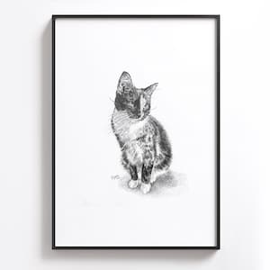 Puede incluir: Un dibujo a l&aacute;piz en blanco y negro de un gato calico sentado y mirando hacia un lado.