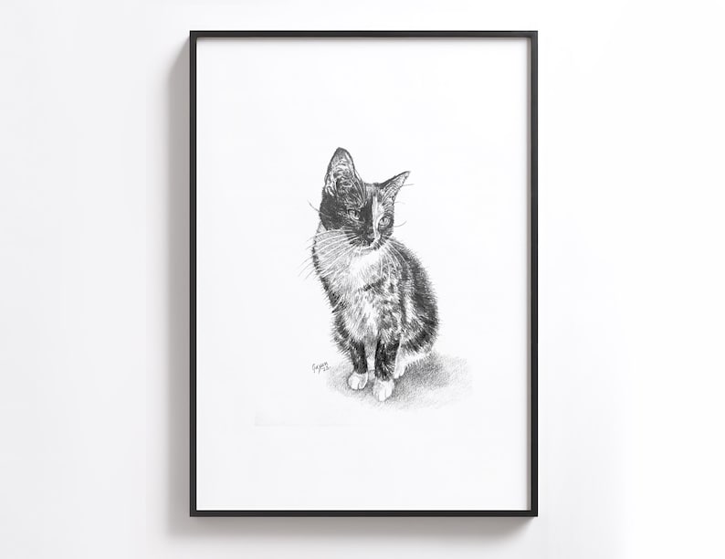 Puede incluir: Un dibujo a l&aacute;piz en blanco y negro de un gato calico sentado y mirando hacia un lado.
