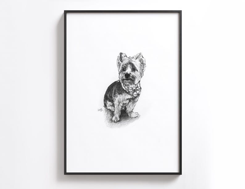Puede incluir: Dibujo a l&aacute;piz en blanco y negro de un Yorkshire Terrier sentado y mirando al espectador. El perro lleva un collar negro con un dise&ntilde;o blanco.