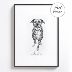 Puede incluir: Ilustraci&oacute;n dibujada a mano en blanco y negro de un perro llamado "Bruzer" con las fechas 08-04-2007-01-06-2021. La ilustraci&oacute;n est&aacute; enmarcada en un marco negro.