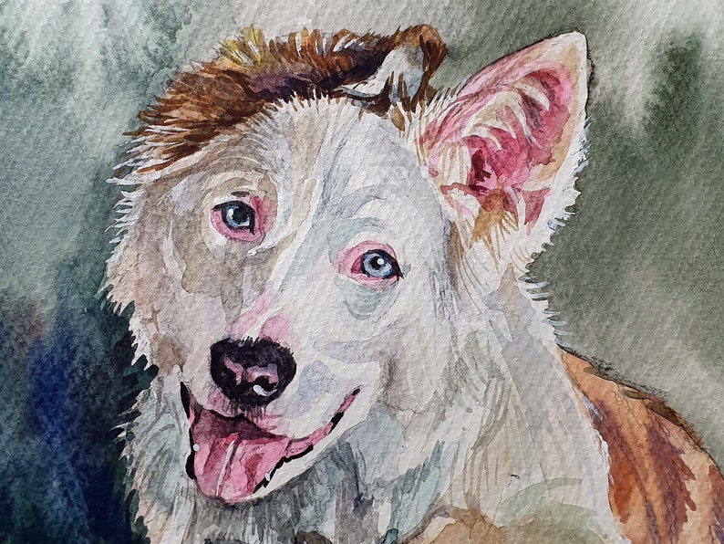 Custom Watercolor Pet Portrait, Dog Portrait, Cat Portrait, Original Watercolor Portrait image 5