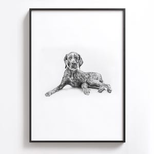 Puede incluir: Dibujo a l&aacute;piz en blanco y negro de un perro acostado. El perro mira al espectador con la cabeza ligeramente inclinada hacia un lado.