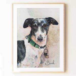 May include: A watercolour painting of a black and white dog with a green collar and a metal tag, framed in a light wood frame. The dog is looking forward, and the name Buck is written in cursive script in the bottom right corner of the artwork.