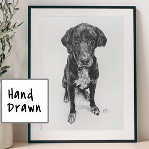 Custom Pet Portrait Pencil Sketch Dog Cat Horse Graphite Drawing from Photograph Gift Hand Drawn Personalised Commission