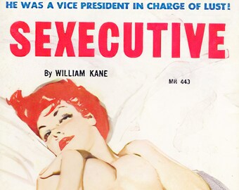 Vintage Erotic Pulp Poster - Sexecutive