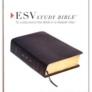 PERSONALISIERT ** ESV Studienbibel. Echtes Leder, Schwarz **Custome Name Aufdruck