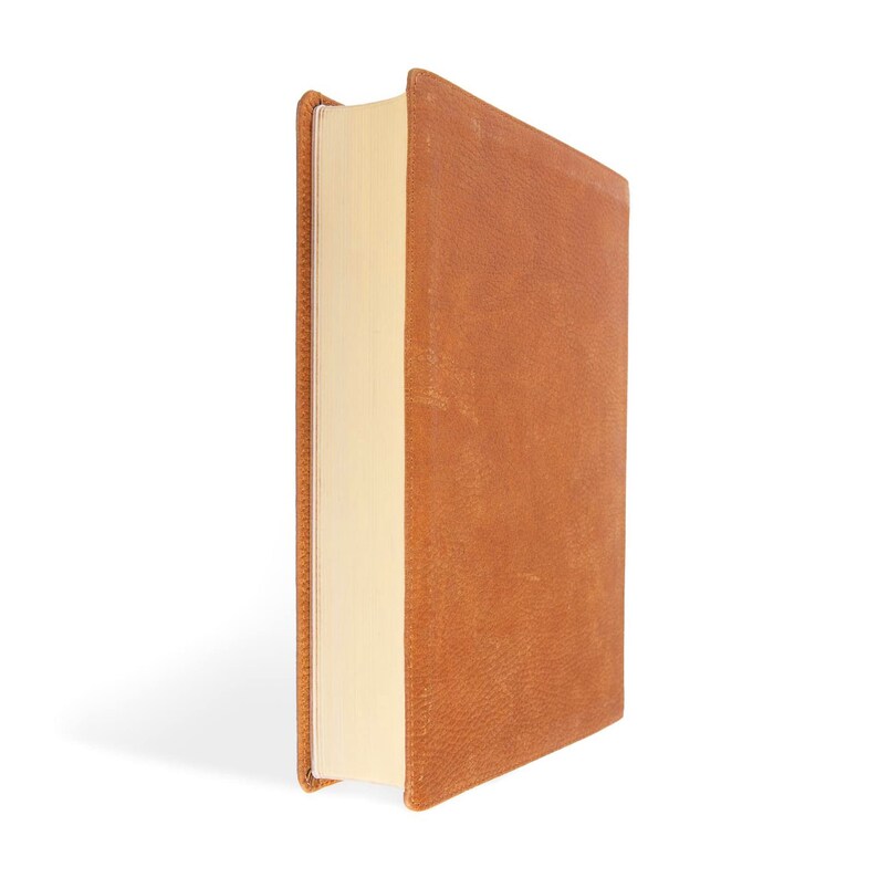 Op de afbeelding: Een bruin lederen gebonden boek met een cr&egrave;mekleurige rug.