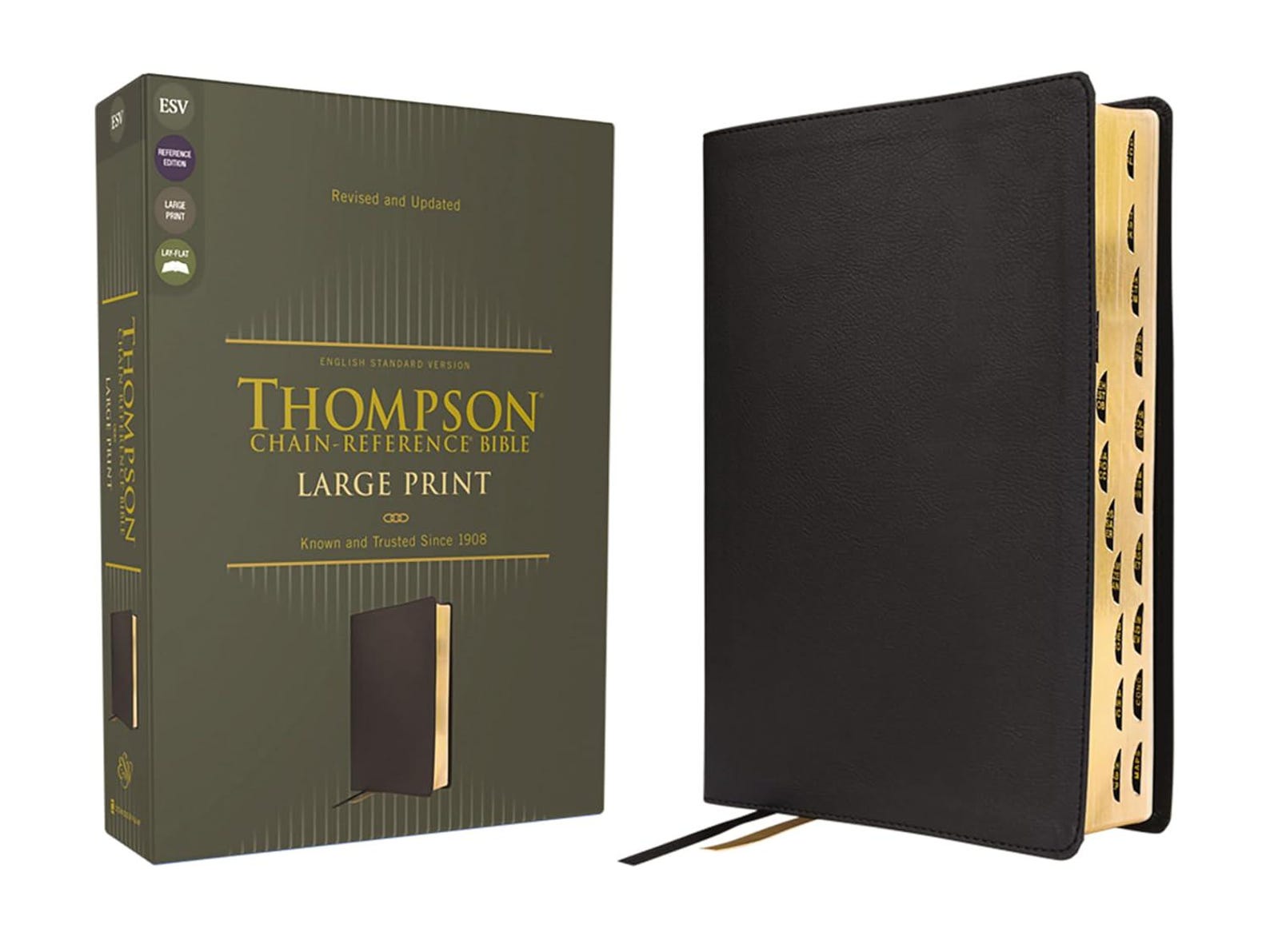 PERSONALIZED *** ESV Thompson Chainreference Large Print Bible Soft