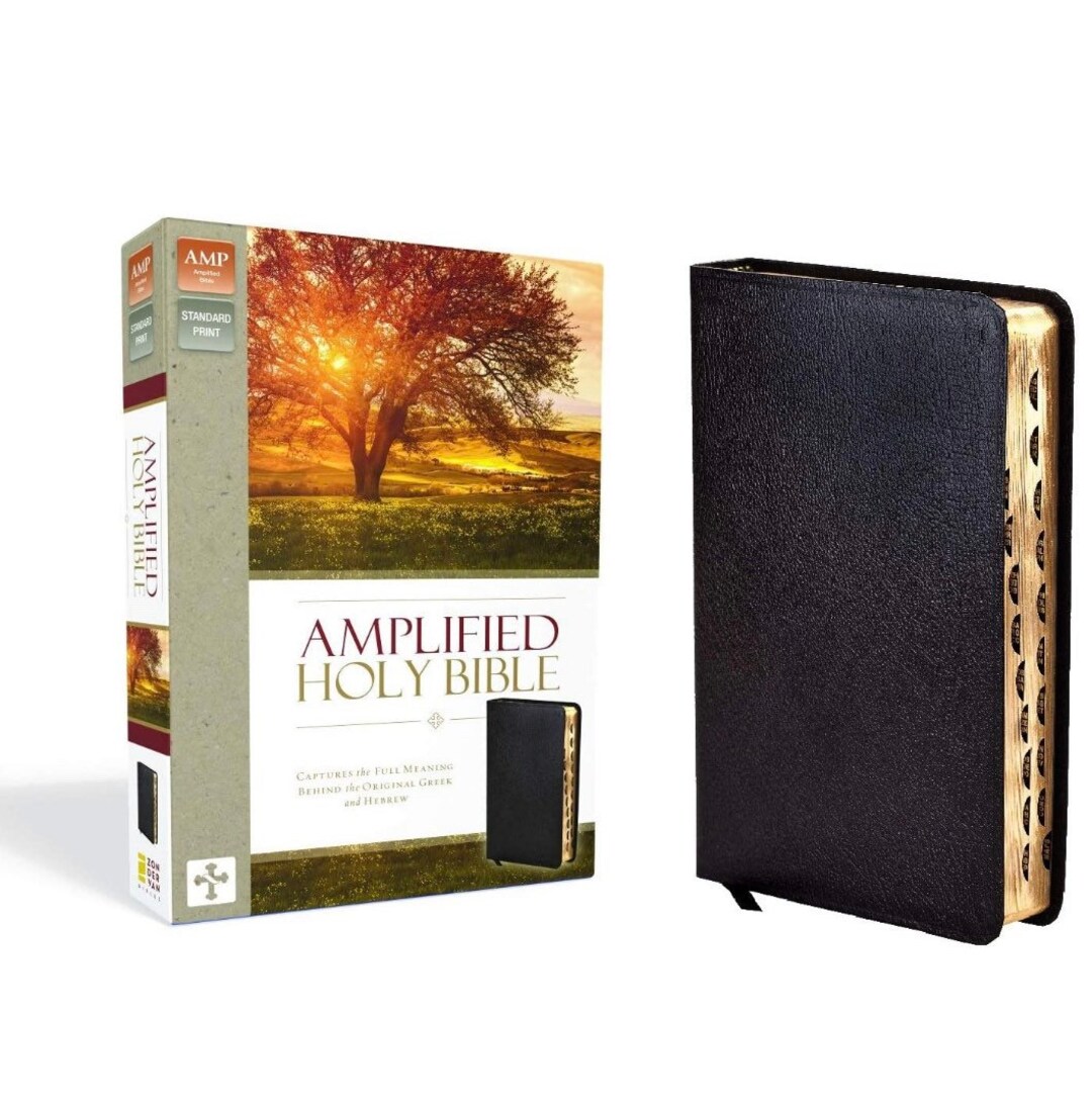 PERSONALIZED Amplified Thinline Holy Bible, Bonded Leather, Black indexed. Custom Name Imprint