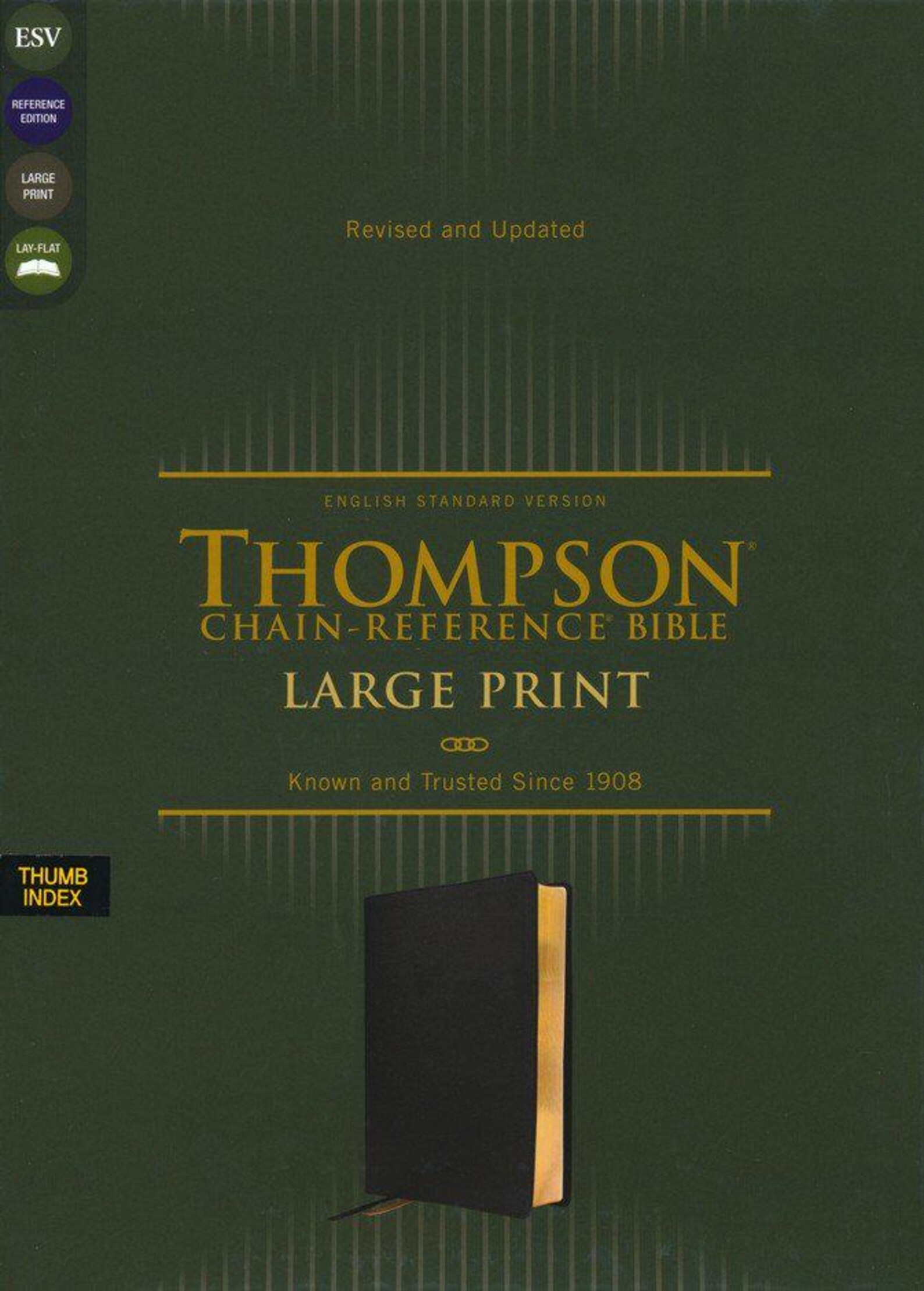 PERSONALIZED *** ESV Thompson Chainreference Large Print Bible Soft