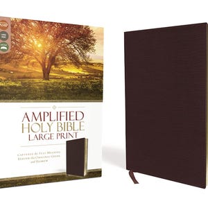 PERSONALIZED *** Amplified Large-Print Bible - Bonded Leather - Burgundy*** Custom Name Imprint