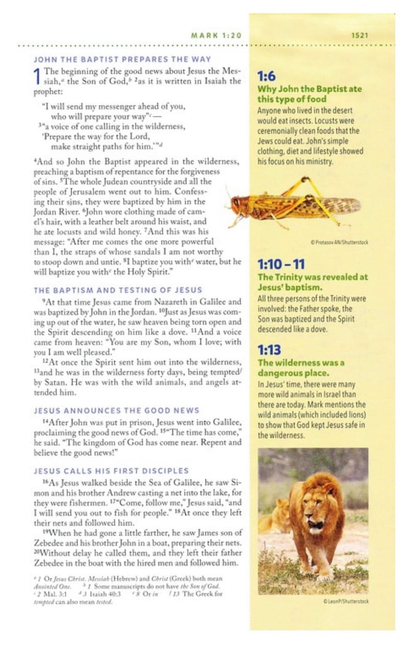 May include: A page from a religious book with text and illustrations. The text discusses the story of John the Baptist and Jesus Christ. The illustrations include a grasshopper and a lion.