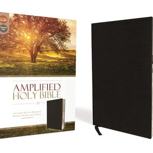 PERSONALIZED *** Amplified Thinline Holy Bible, Bonded leather, black (Indexed) *** Custom Name Imprint