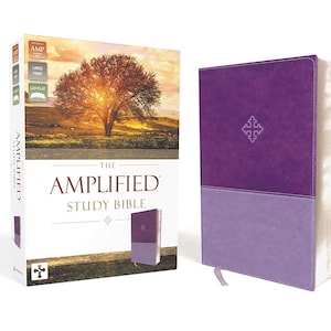 PERSONALIZED *** The Amplified Study Bible, Leathersoft, Purple. *** Custom Name Imprint