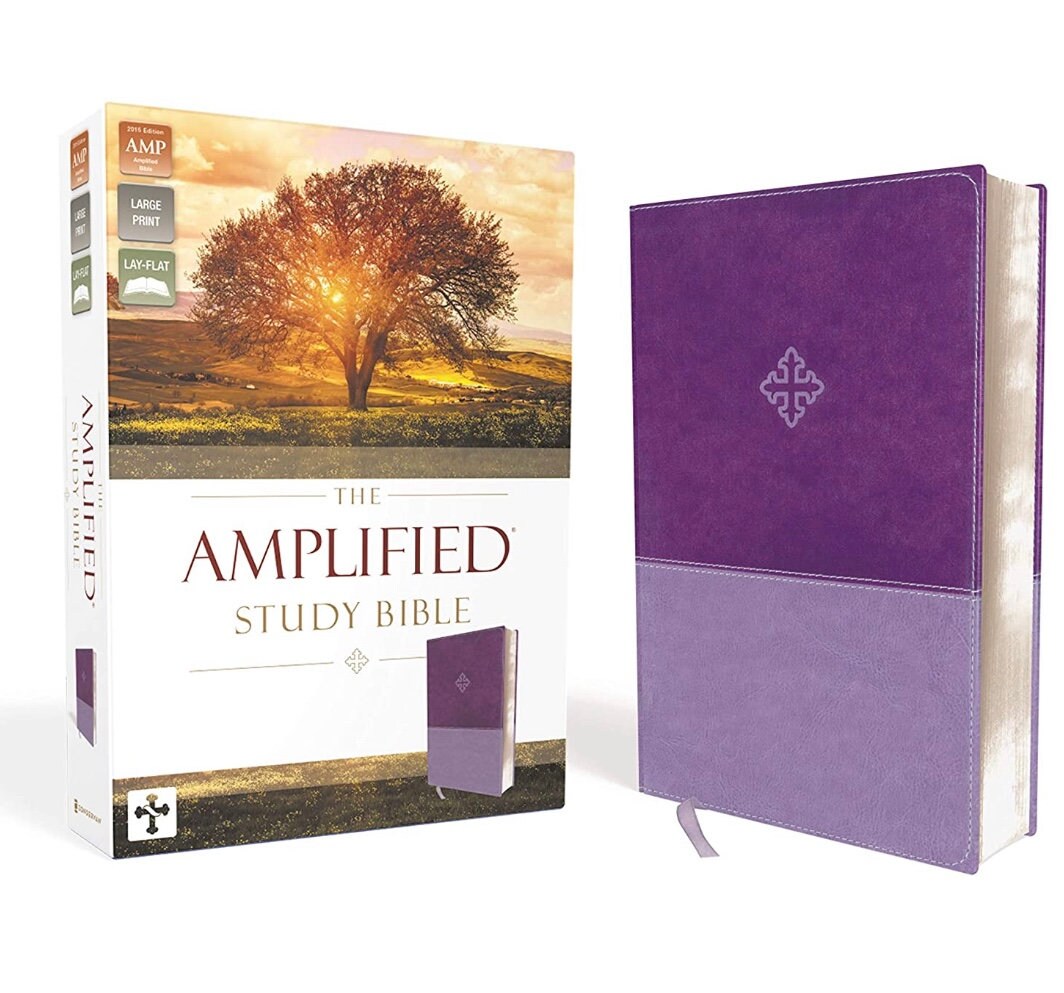 Amplified Bible for sale Only 3 left at 70