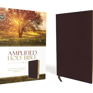 PERSONALIZED *** Amplified Holy Bible - Bonded Leather - Burgundy *** Custom Name Imprint